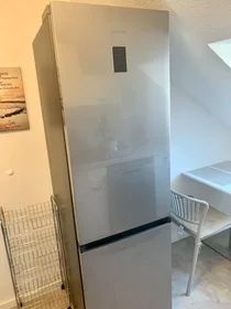 Privatzimmer in der Austraße, Frankfurt am Main Ost, bild 6 von 10