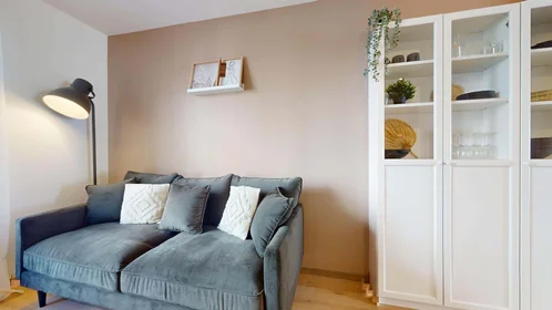 Habitación privada en 27 Av. Albert 1er de Belgique, 38000 Grenoble, France, imagen 13 de 18