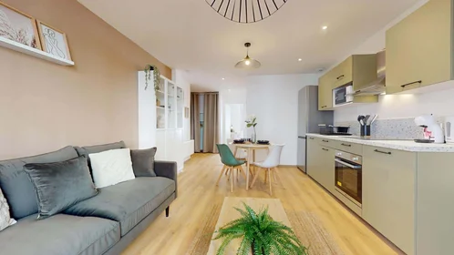 Habitación privada en 27 Av. Albert 1er de Belgique, 38000 Grenoble, France, imagen 16 de 18