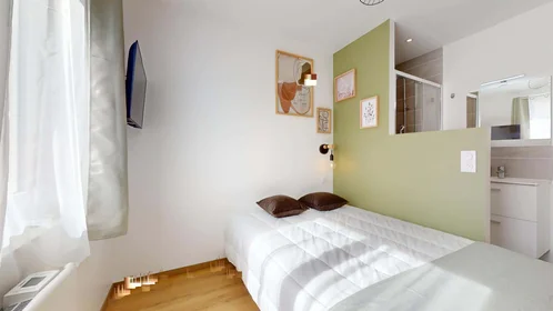 Habitación privada en 27 Av. Albert 1er de Belgique, 38000 Grenoble, France, imagen 4 de 18