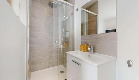 Habitación privada en 27 Av. Albert 1er de Belgique, 38000 Grenoble, France, imagen 8 de 18