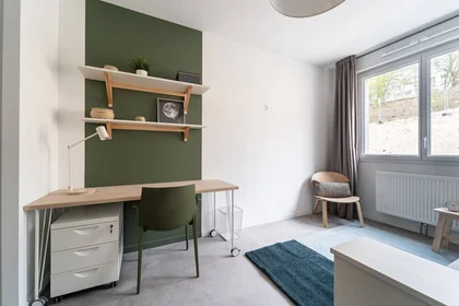 Quarto privado em Metz, 57000, imagem 1 de 10