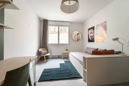 Quarto privado em residência em Metz, 57000, imagem 3 de 16
