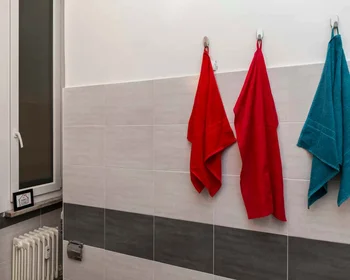 Chambre privée à 1, Via Giulio Tarra, Milano, 20124, image 40 de 41