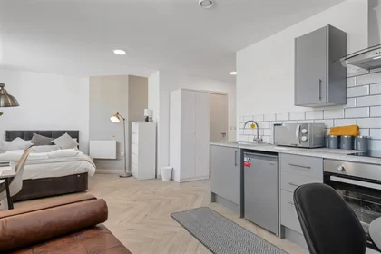 Studio in residence at City Nest Student Living, Flat 1, 29 Green Lane, Derby, DE1 1FQ,UK, image 3 of 33