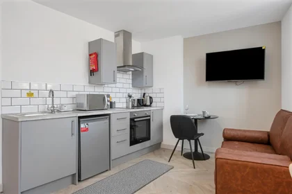 Studio in residence at City Nest Student Living, Flat 1, 29 Green Lane, Derby, DE1 1FQ,UK, image 4 of 33