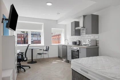 Studio at City Nest Student Living, Flat 1, 29 Green Lane, Derby, DE1 1FQ,UK, image 1 of 10