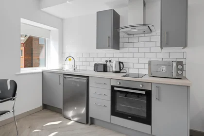 Studio in residence at City Nest Student Living, Flat 1, 29 Green Lane, Derby, DE1 1FQ,UK, image 2 of 34