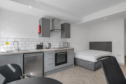 Studio in residence at City Nest Student Living, Flat 1, 29 Green Lane, Derby, DE1 1FQ,UK, image 3 of 34
