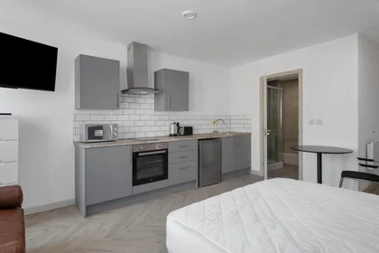 Studio in residence at City Nest Student Living, Flat 1, 29 Green Lane, Derby, DE1 1FQ,UK, image 24 of 34