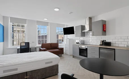 Studio in residence at City Nest Student Living, Flat 1, 29 Green Lane, Derby, DE1 1FQ,UK, image 9 of 34