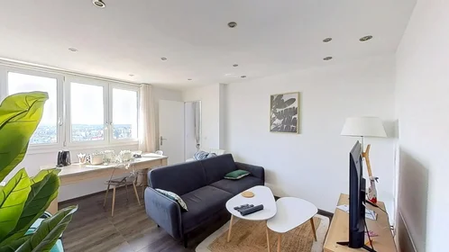Stanza privata in 11 Rue Gabriel Pierné, immagine 24 di 32