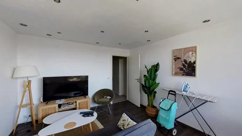 Stanza privata in 11 Rue Gabriel Pierné, immagine 25 di 32