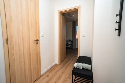 Entire apartment at Kotkova 21, image 6 of 8