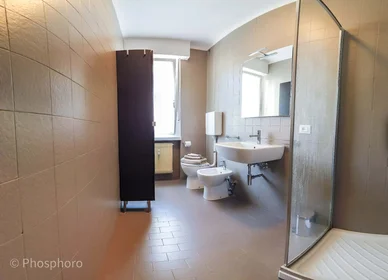 Private room at Via Gocciadoro, 28, 38122, Trento, IT, image 16 of 19