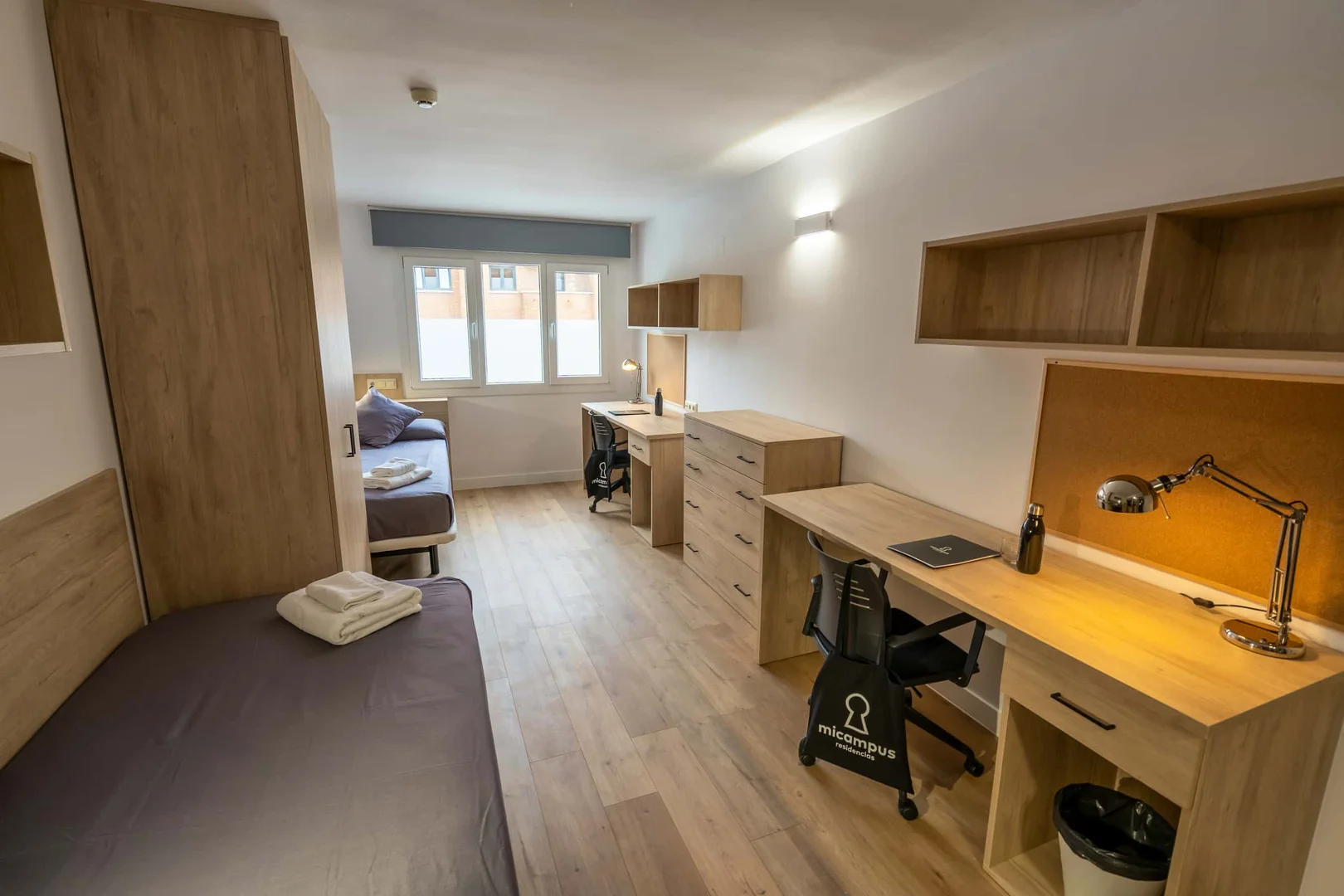 Affordable room for students with ample lighting in 