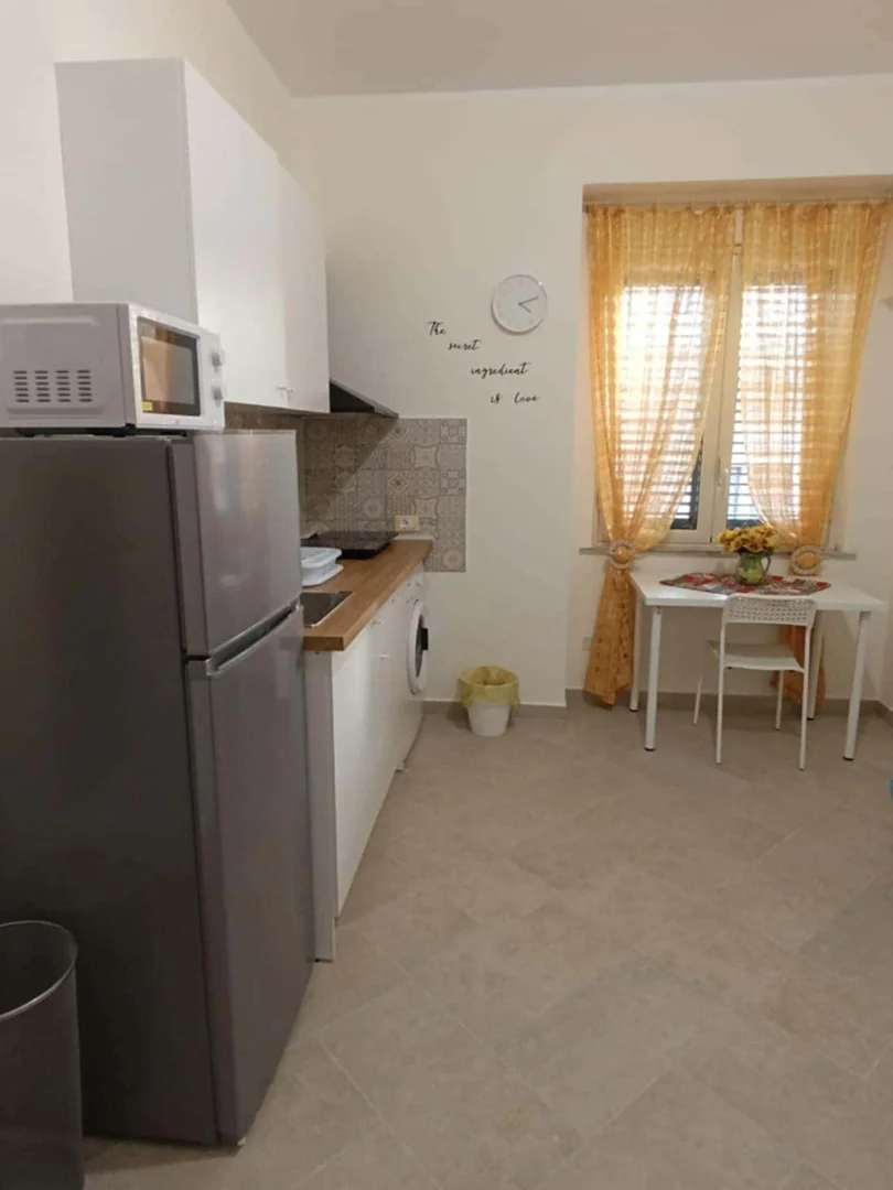 Room for rent in student apartment in , fully furnished