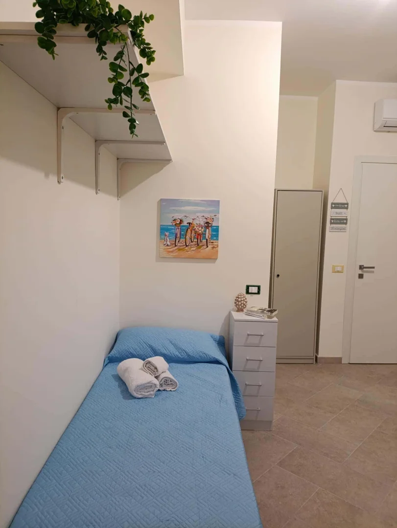 Budget-friendly student room close to campus in