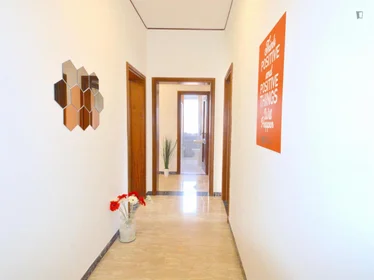 Stanza privata in Via Pastrengo, immagine 21 di 22