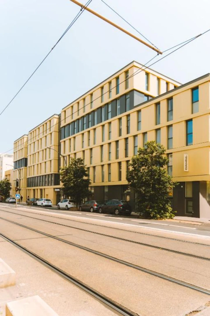 Affordable room for students with ample lighting in