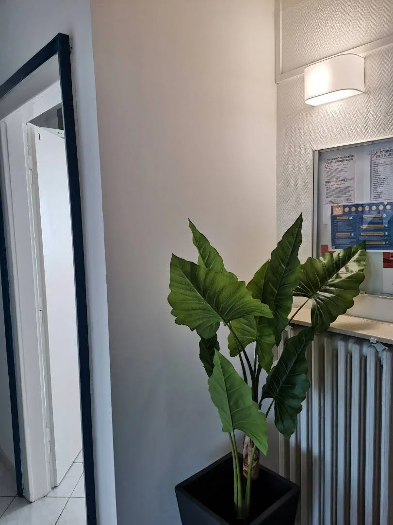 Preisgünstiges Studentenzimmer in günstiger Lage in 