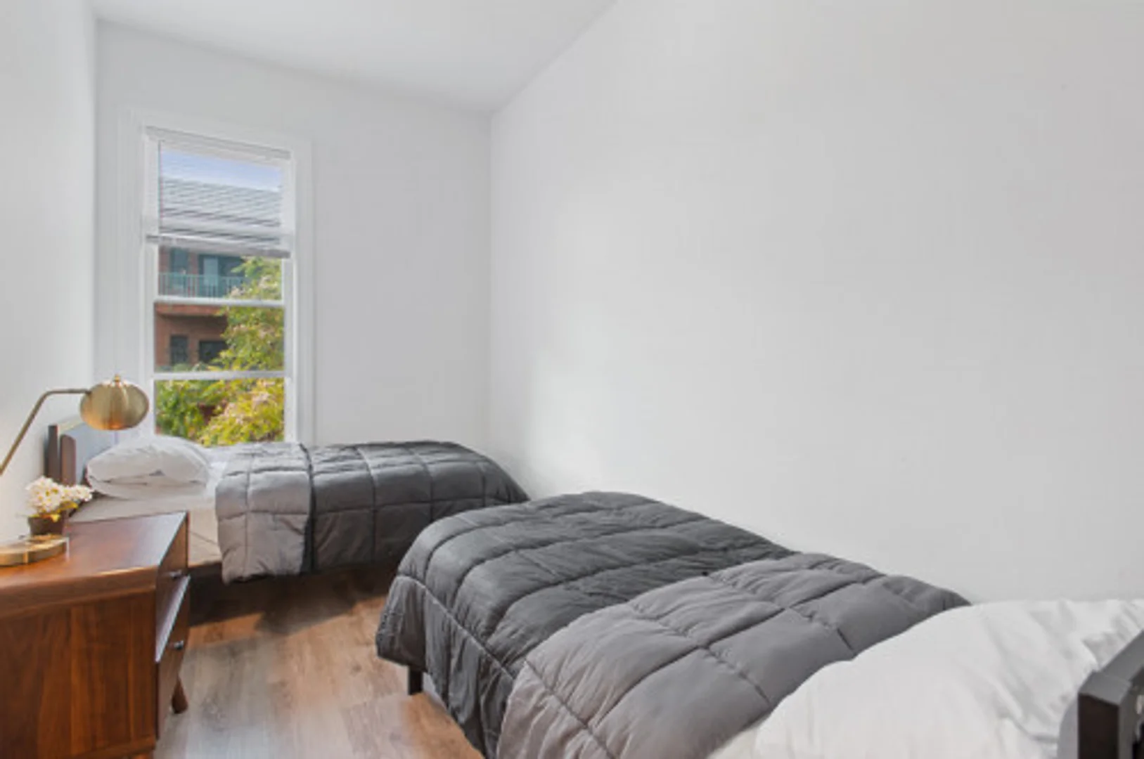 Cozy room for students available in 