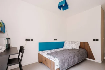 Stanza privata in residence in Toulouse, 31500, immagine 1 di 21