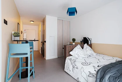 Stanza privata in residence in Toulouse, 31500, immagine 17 di 21