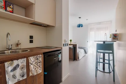 Stanza privata in residence in Toulouse, 31500, immagine 18 di 21