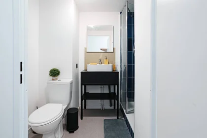 Stanza privata in residence in Toulouse, 31500, immagine 20 di 21