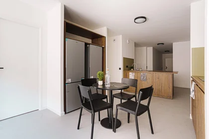 Stanza privata in residence in Toulouse, 31500, immagine 3 di 21