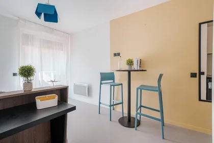 Stanza privata in residence in Toulouse, 31500, immagine 21 di 21
