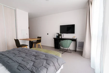 Stanza privata in residence in Toulouse, 31500, immagine 6 di 21