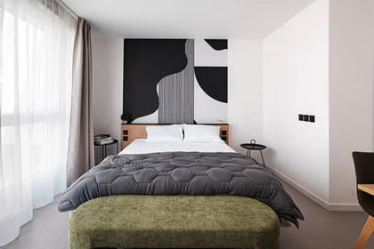 Stanza privata in residence in Toulouse, 31500, immagine 8 di 21