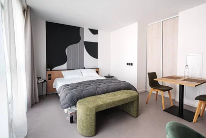 Stanza privata in residence in Toulouse, 31500, immagine 9 di 21