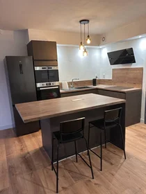 Stanza privata in Orléans, 45100, immagine 13 di 13