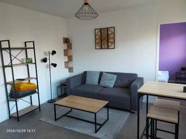 Stanza privata in Nancy, 54000, immagine 1 di 10