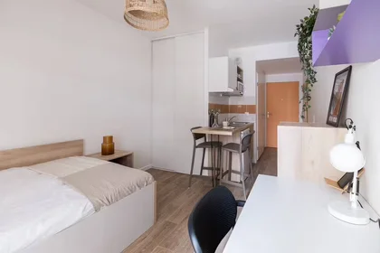 Prywatny pokój w rezydencji Ivry-sur-Seine, 94200, obraz 2 4