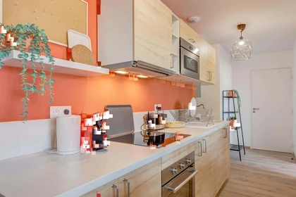 Habitación privada en 5 Rue Charles Montaland, 69100 Villeurbanne, France, imagen 4 de 13