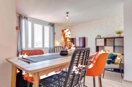 Habitación privada en 5 Rue Charles Montaland, 69100 Villeurbanne, France, imagen 6 de 13
