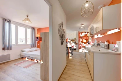 Habitación privada en 5 Rue Charles Montaland, 69100 Villeurbanne, France, imagen 10 de 13