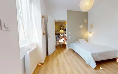 Privatzimmer in der 41 Rue Benoît Malon, 42000 Saint-Étienne, France, bild 5 von 28