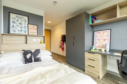 Quarto privado em Ashlin House Cork T12 FX0D, imagem 12 de 12