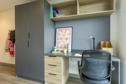 Quarto privado em Ashlin House Cork T12 FX0D, imagem 7 de 12