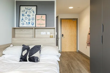 Quarto privado em Ashlin House Cork T12 FX0D, imagem 8 de 12