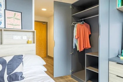 Quarto privado em Ashlin House Cork T12 FX0D, imagem 9 de 12