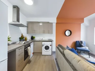 Stanza privata in Brae Street Liverpool L7 2QQ, immagine 1 di 6