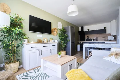Stanza privata in 2 RUE DU GENERAL FRERE, appt 12, immagine 1 di 10