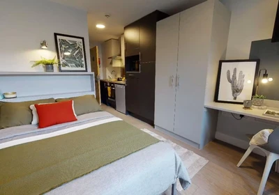 Habitación privada en 114 Dundee Street Fountainbridge Edinburgh EH11 1AB United Kingdom, imagen 26 de 30