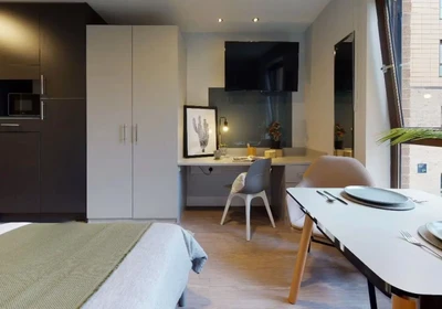 Habitación privada en 114 Dundee Street Fountainbridge Edinburgh EH11 1AB United Kingdom, imagen 27 de 30